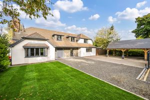 Front- click for photo gallery